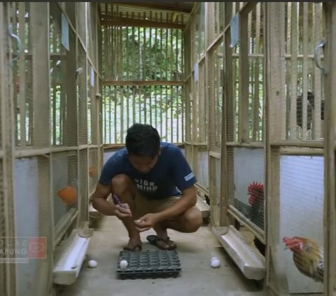 Punya Jabatan Mentereng di Perusahaan, Pria Ini Pilih Banting Setir Jadi Peternak Ayam Kampung