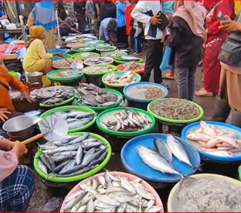 Melihat Suasana Pasar Ikan Terbesar di Kabupaten Kendal, Beragam Jenis Ikan Laut Segar Tersedia Langsung dari Nelayan