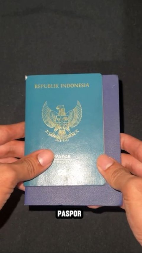 Rare Photo of Official Passport from 1987, Handwritten Contents and Physical Descriptions