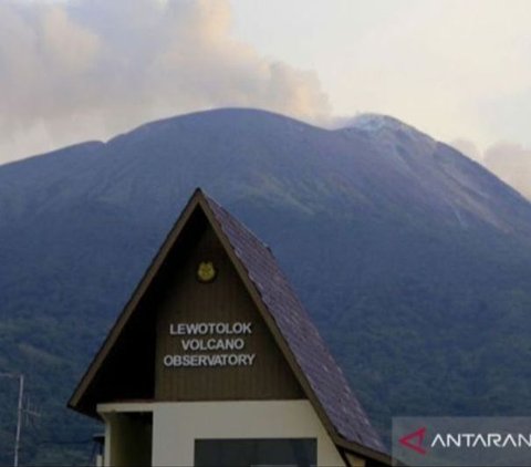 Erupsi Gunung Ile Lewotolok Meningkat, Masyarakat Diminta Waspada Longsoran Lava dan Awan Panas