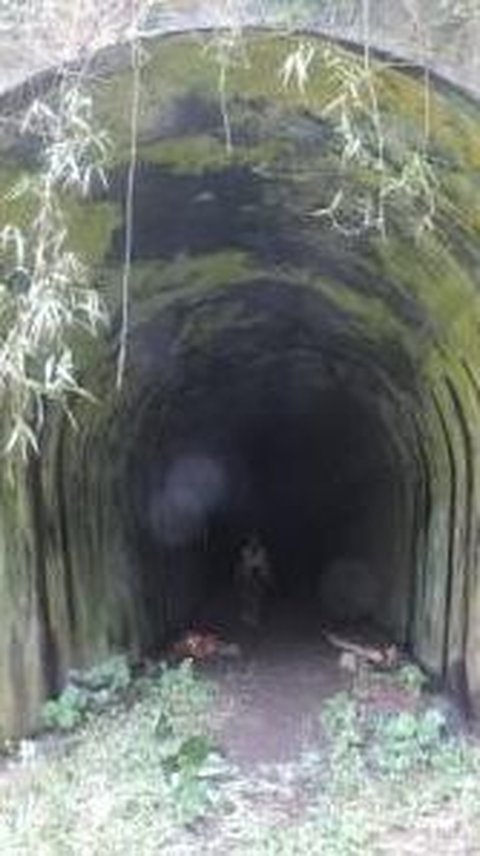 Fakta Terowongan Juliana di Pangandaran, Diambil dari Nama Ratu Belanda hingga Jadi Tempat Syuting Film Siksa Kubur<br>