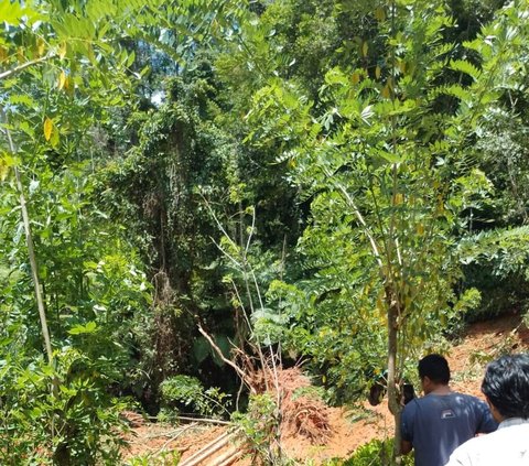 Longsor di Toraja Utara, Dua Orang Masih Hilang