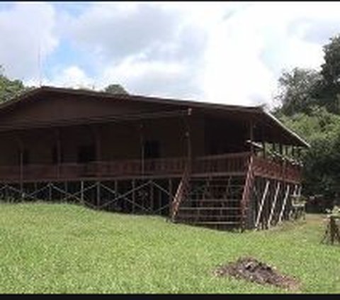 Portrait of Andrew Kalaweit's 'Handsome Tarzan' House, Living in the Middle of the Kalimantan Jungle, Its Design is Super Unique
