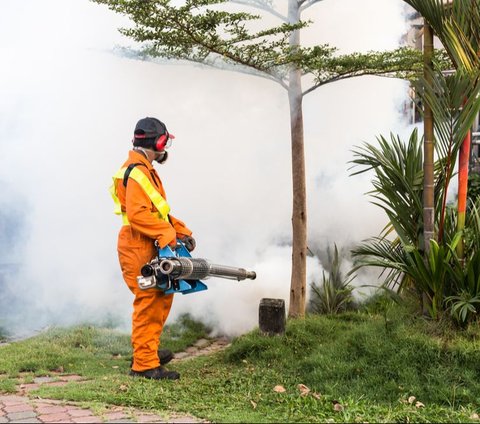 Dengue Fever Attacks Children, It is Best to Immediately Conduct Fogging in the House Environment