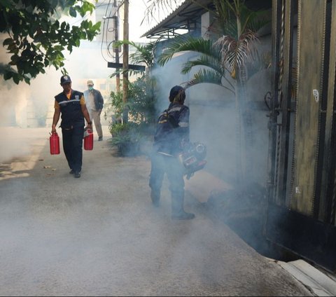 Dengue Fever Attacks Children, It is Best to Immediately Conduct Fogging in the House Environment