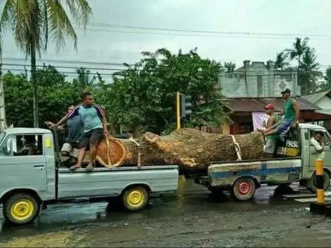 Lebih baik membawa truk besar jika seperti ini