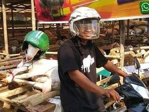 Sangat menggelikan hingga menggunakan helm