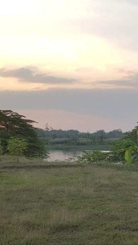 Menikmati Senja di Agrowisata Cengungklung Bojonegoro, Desa Sejuk di Tepi Sungai Bengawan Solo<br>