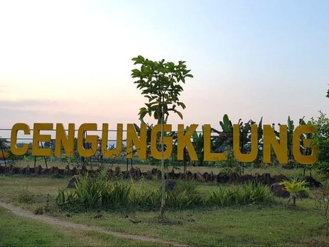 Menikmati Senja di Agrowisata Cengungklung Bojonegoro, Desa Sejuk di Tepi Sungai Bengawan Solo