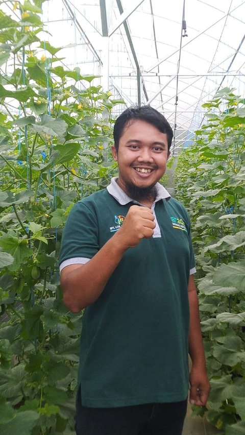 Curi Perhatian Berbagai Instansi, Ini Kisah Inspiratif Pemuda Asal Temanggung Kembangkan Pertanian Melon di Lereng Gunung Sindoro