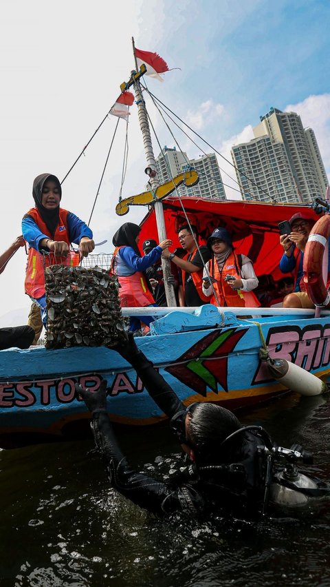 FOTO: Melihat Upaya Restorasi Perairan Teluk Jakarta dengan Filter Kerang Hijau untuk Perbaiki Lingkungan