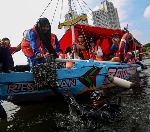 FOTO: Melihat Upaya Restorasi Perairan Teluk Jakarta dengan Filter Kerang Hijau untuk Perbaiki Lingkungan