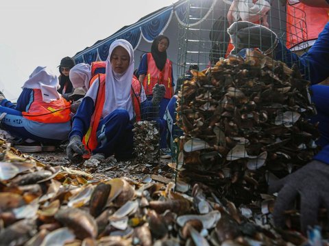 FOTO: Melihat Upaya Restorasi Perairan Teluk Jakarta dengan Filter Kerang Hijau untuk Perbaiki Lingkungan