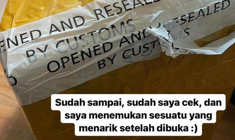 Viral Barang Kiriman Robot Megatron Milik Youtuber Rusak, Begini Penjelasan Bea Cukai