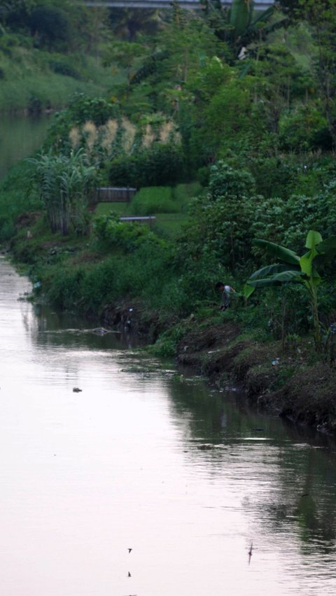 FOTO: Memanfaatkan Lahan Kosong Kanal Banjir Timur untuk Berladang Tanaman Produktif