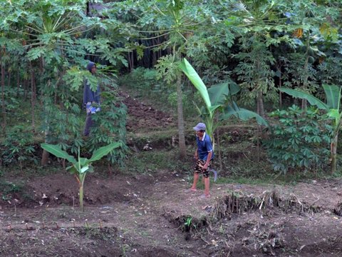 FOTO: Memanfaatkan Lahan Kosong Kanal Banjir Timur untuk Berladang Tanaman Produktif