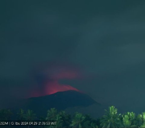 Gunung Ibu Maluku Utara Erupsi 88 Detik Luncurkan Abu Setinggi 1.000 Meter