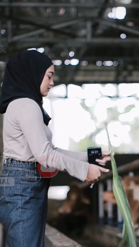 Tak Kenal Gengsi, Perempuan 20 Tahun Ini Sukses Jadi Juragan Sapi dan Raup Omzet Ratusan Juta