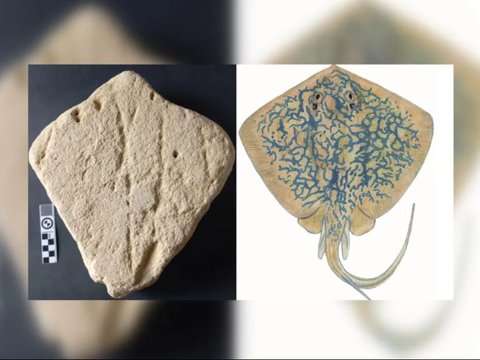 Arkeolog Temukan Karya Seni Hewan Tertua di Dunia Berusia 130.000 Tahun, Begini Sosok Makhluknya