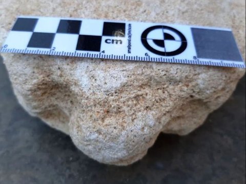Arkeolog Temukan Karya Seni Hewan Tertua di Dunia Berusia 130.000 Tahun, Begini Sosok Makhluknya