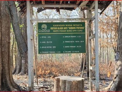 Pernah Terkenal di Masa Presiden Soeharto, Taman Wisata di Tengah Hutan Jati Blora Kini Terbengkalai