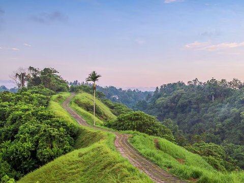 Jadi Salah Satu Wisata Termurah di Dunia, Ini 4 Eksotisme Bali yang Jarang Tersorot