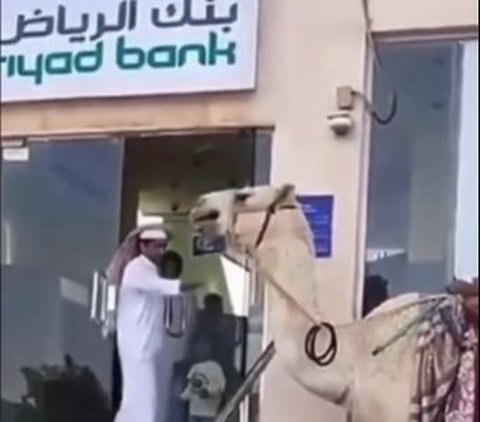 Potret Kehidupan Arab Badui di Saudi, ke Bank Naik Unta, Rumahnya Indah Luar Biasa