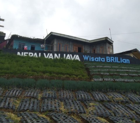 Ciptakan Ekosistem Usaha, Ini Peran BRI dalam Mengembangkan Kawasan Wisata “Nepal Van Java”