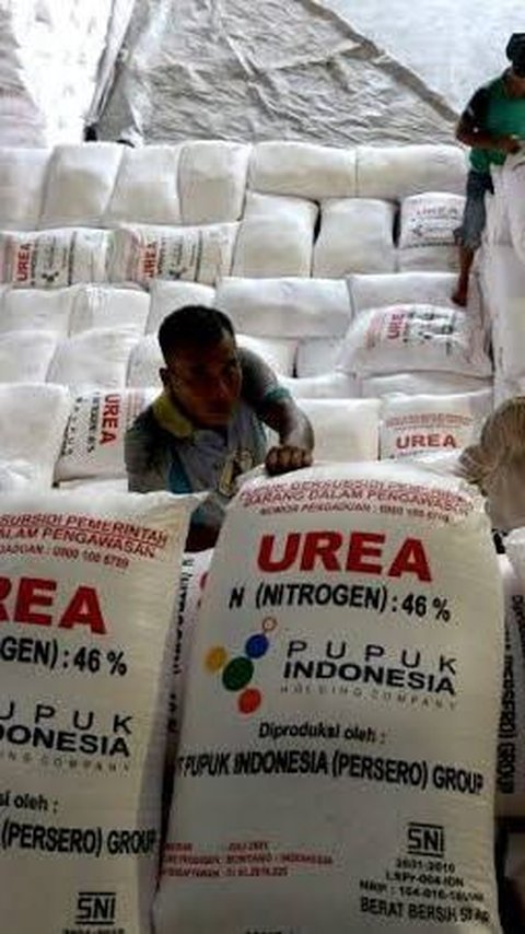 Pupuk Kaltim Akan Sebar 1 Juta Ton Lebih Pupuk Subsidi ke-13 Provinsi, Ini Rinciannya