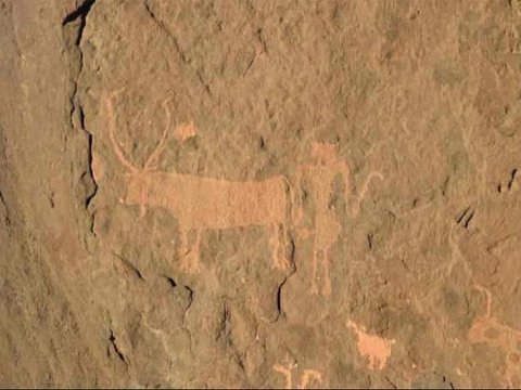 Arkeolog Temukan Gambar Hewan Ternak di Batu Berusia 4.000 Tahun, Jadi Bukti Gurun Sahara Dulu Pernah Hijau Subur