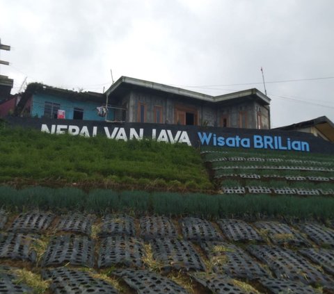 Jadi Salah Satu Desa Wisata Unggulan BRILian, Ini Pesona Dusun Butuh yang Tenar dengan Julukan “Nepal Van Java”