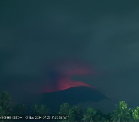 Badan Geologi: Jumlah Gempa di Gunung Ibu Halmahera Meningkat Signifikan