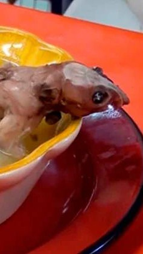 This Legendary Shop Has Been Selling Rat Soup for Over Half a Century