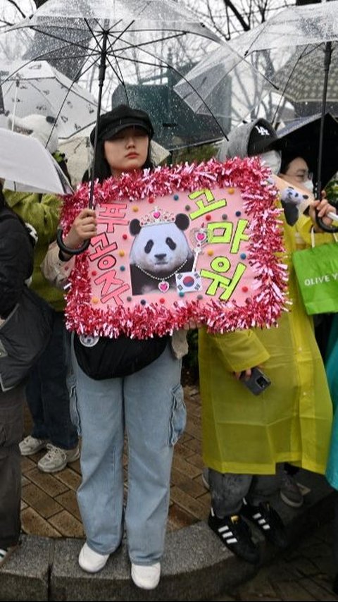 FOTO: Penuh Air Mata, Ini Momen Ribuan Warga Korea Selatan Melepas Panda Fu Bao yang Dipulangkan ke China
