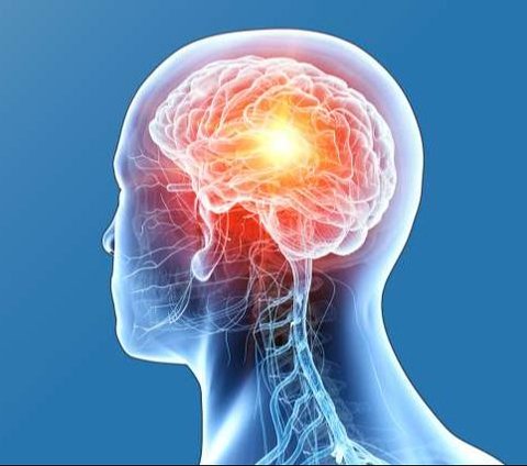 Ukuran otak manusia diyakini terus meningkat secara bertahap seiring berjalannya waktu. Menurut penelitian terbaru, perkembangan otak dapat mengurangi resiko demensia pada generasi muda.