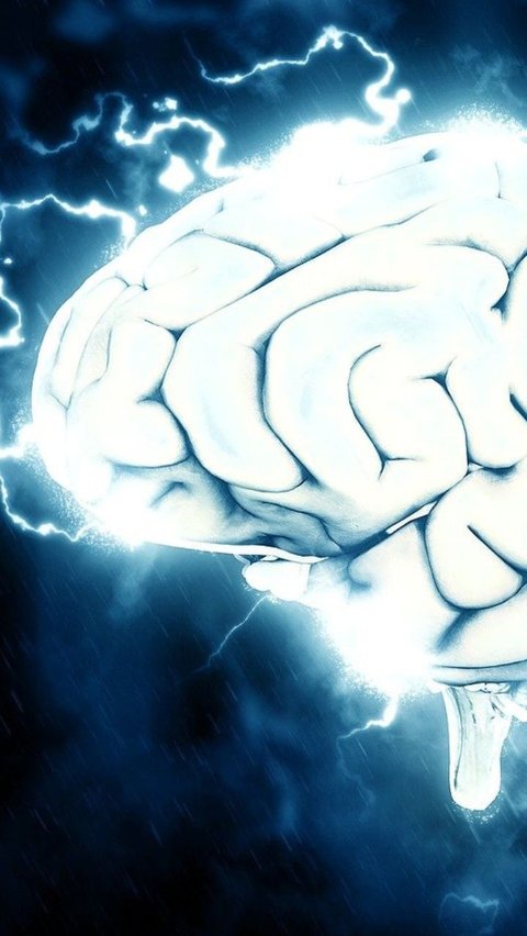 Peneliti Ungkap Generasi Muda Punya Ukuran Otak yang Lebih Besar, Ternyata Ini Dampaknya Bagi Kesehatan