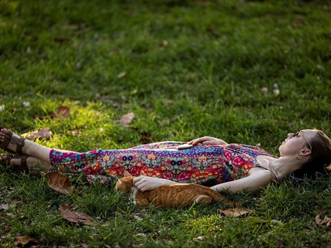 FOTO: Potret Ratusan Kucing Lucu di Distrik Bersejarah Puerto Rico, Menyenangkan di Mata Warga, Namun Dinilai Mengganggu oleh Pemerintah