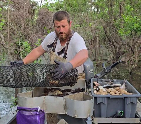 Jacob C American TikToker and Shrimp Farmer Goes Viral Because of His Hobby in Responding to +62 Citizens' Comments in Javanese, Sundanese, and Banjar Languages