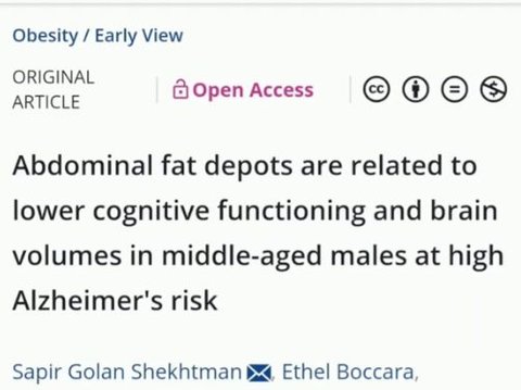 Perut Buncit dan Obesitas Ternyata Bikin Otak jadi Lelet, Begini Penjelasannya