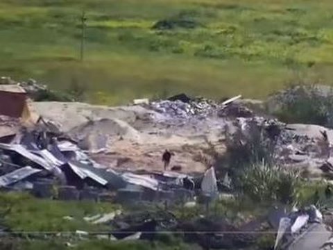 VIDEO Pasukan Israel Tembaki Kerumunan Warga Gaza yang Kelaparan Saat Menunggu Bantuan, 21 Orang Tewas