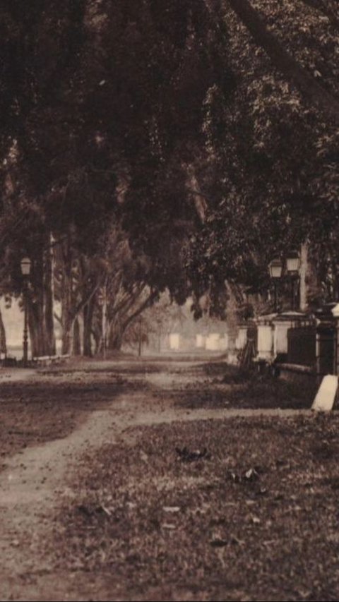 Potret Tanah Abang Sebelum Tahun 1863,  Penuh Pohon Rindang, Adem & Sejuk Beda Banget Sama Sekarang
