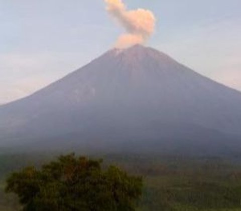 Gunung Semeru Erupsi, Kolom Abu Vulkanik Setinggi 500 Meter