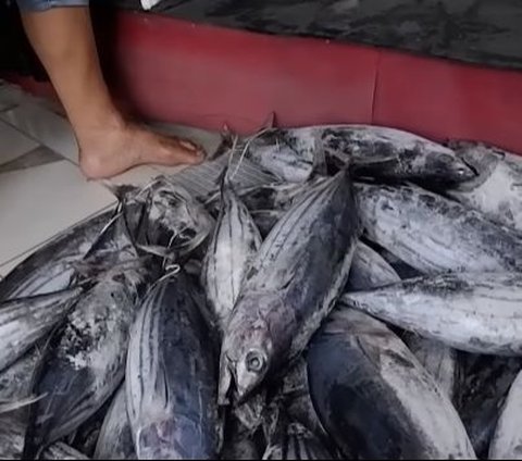 Dulunya Pengemis dan Suka Mabuk, Pria ini Tobat Kini Bisnis Ikan Cakalang Omsetnya Puluhan Juta Rupiah