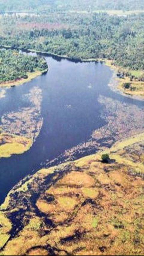 Penyebab Air Sungai Ruki yang Berwarna Sangat Gelap<br>