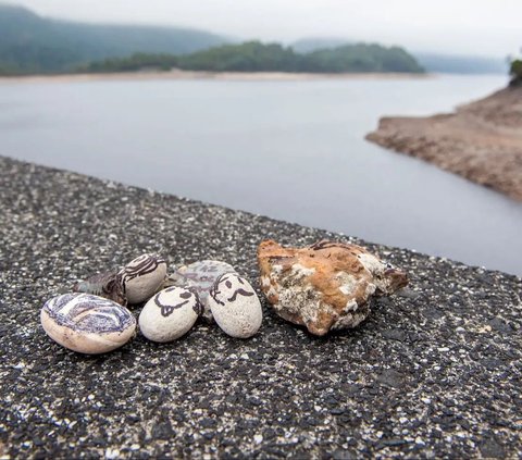 High Stress Levels, South Koreans Choose to Keep Stones as Confidants