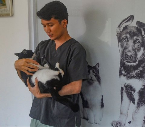 Selain itu, di jasa penitipan Kucing Amore Pejaten ini juga menjamin keamanan dan kebersihan kucing yang dititipkan. <br><br>Mereka memiliki petugas dan dokter hewan yang berpengalaman untuk menjaga kucing tetap sehat. Foto: merdeka.com / Arie Basuki<br>