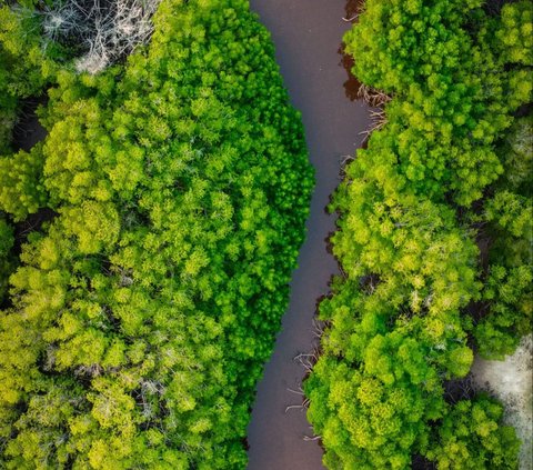 8 Tempat Wisata Jakarta Ramah Anak yang Murah Meriah, Edukatif Bagi si Kecil