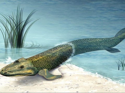 Ilmuwan Teliti Tulang Fosil Ikan Berusia 375 Juta Tahun, Temuannya Bikin Kaget