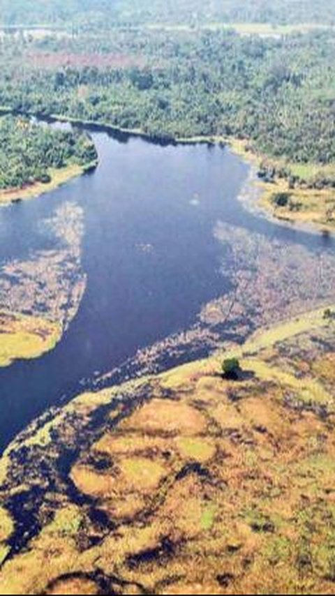 Ilmuwan Temukan Sungai Paling Gelap di Dunia, Hampir Tidak Memiliki Bayangan<br>