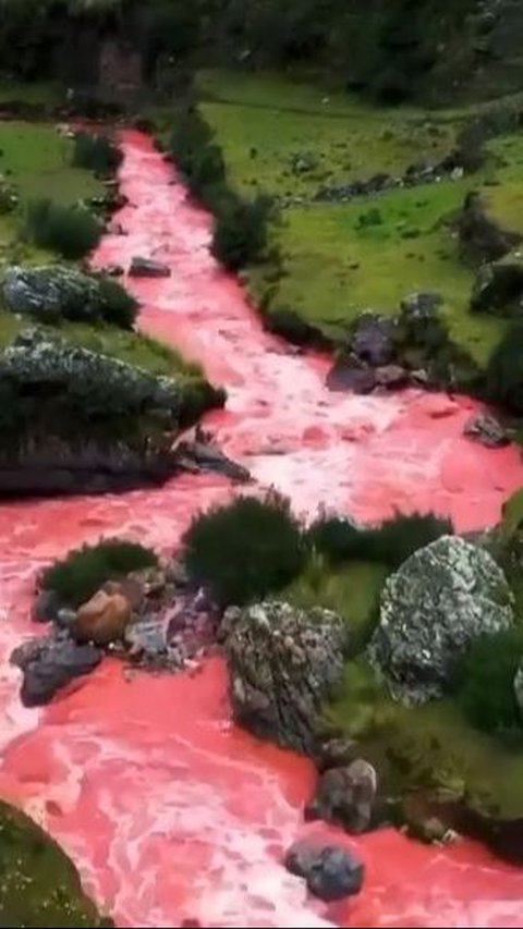 Waktu yang Tepat untuk Melihat Sungai Merah Cusco<br>